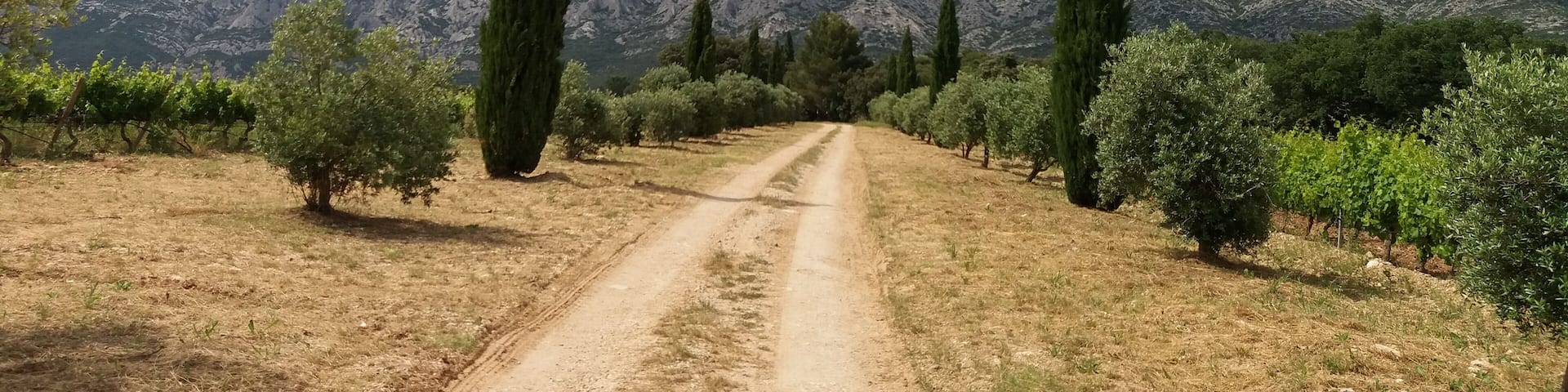 Château Maupague, Grand Site Sainte-Victoire (Bouches-du-Rhône, France)