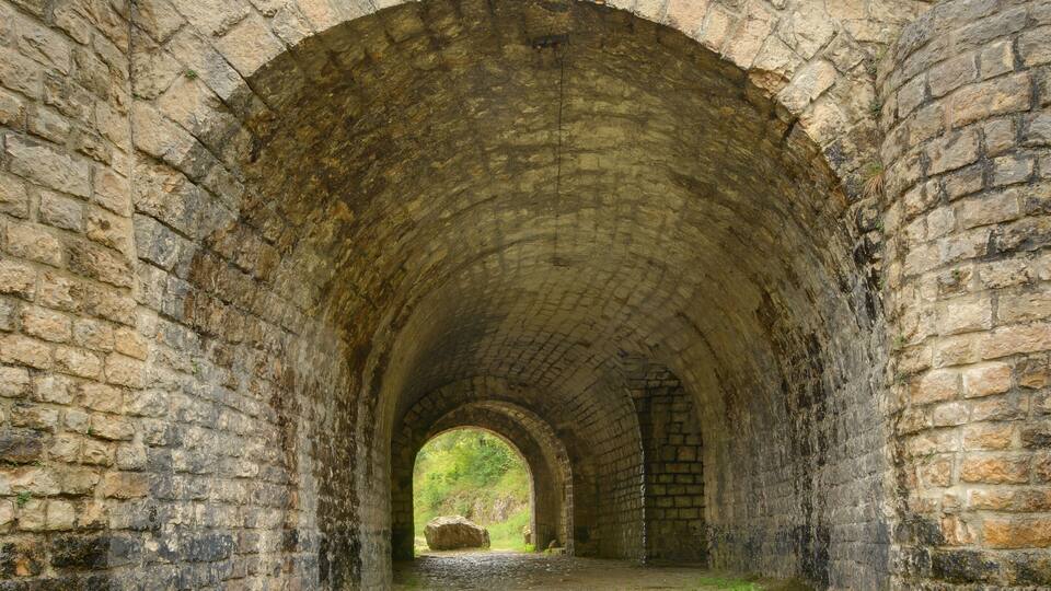 An arched stone bridge with a cobblestone path leading through it.