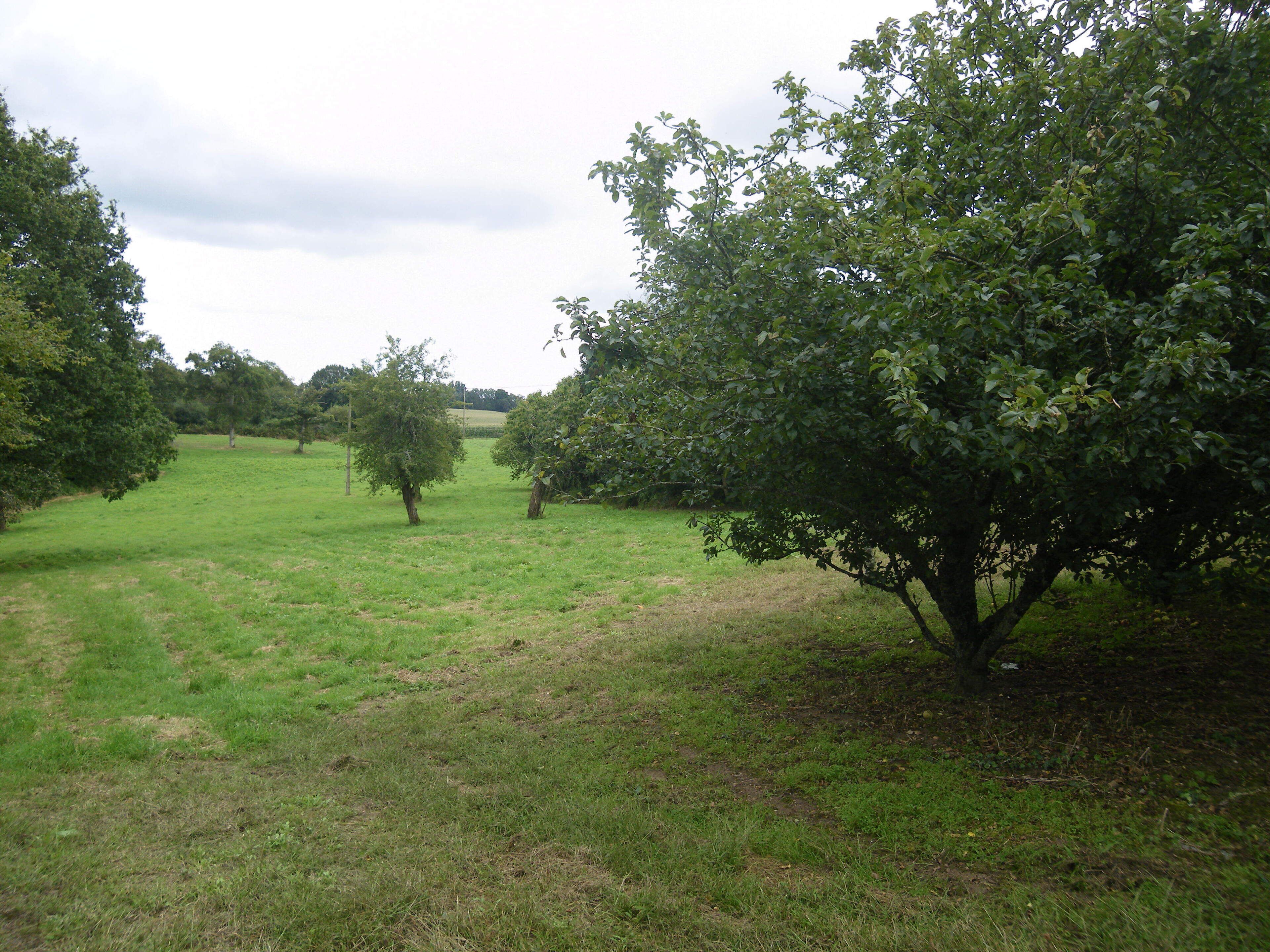 la campagne a plumergat