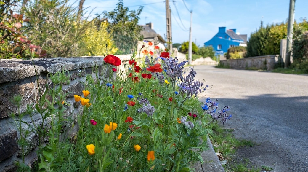 Just off the beach, summer in Lilia