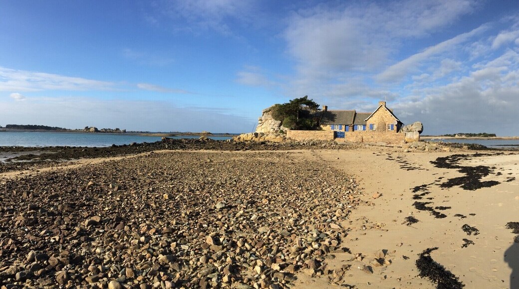 CĂŽtes d'Armor, Britany, during the winter.