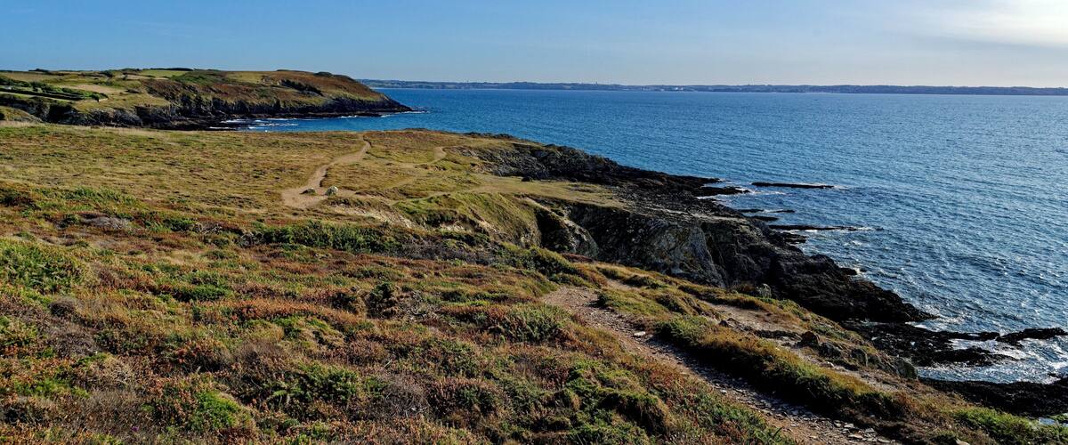 A coastal landscape with grassy terrain and rocky cliffs overlooking the sea.
