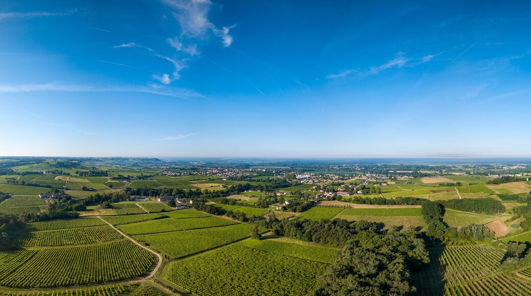 Aerial view, Bordeaux vineyard, landscape vineyard south west of france