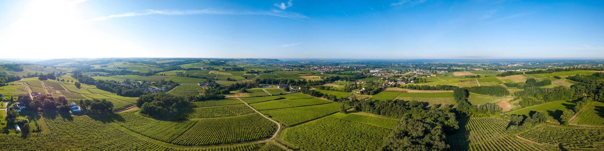 Aerial view, Bordeaux vineyard, landscape vineyard south west of france