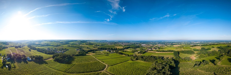 Aerial view, Bordeaux vineyard, landscape vineyard south west of france