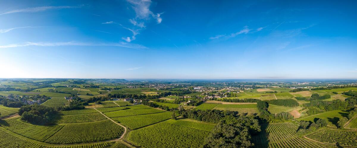 A panoramic view of a rural landscape with vineyards, rolling hills, and a small town in the distance.