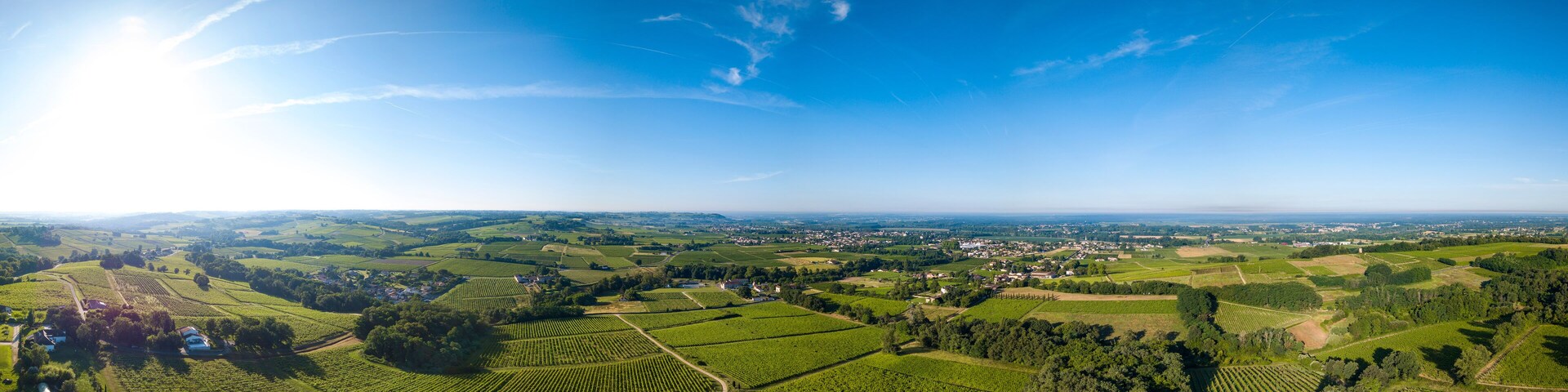 A panoramic view of a rural landscape with vineyards, rolling hills, and a small town in the distance.