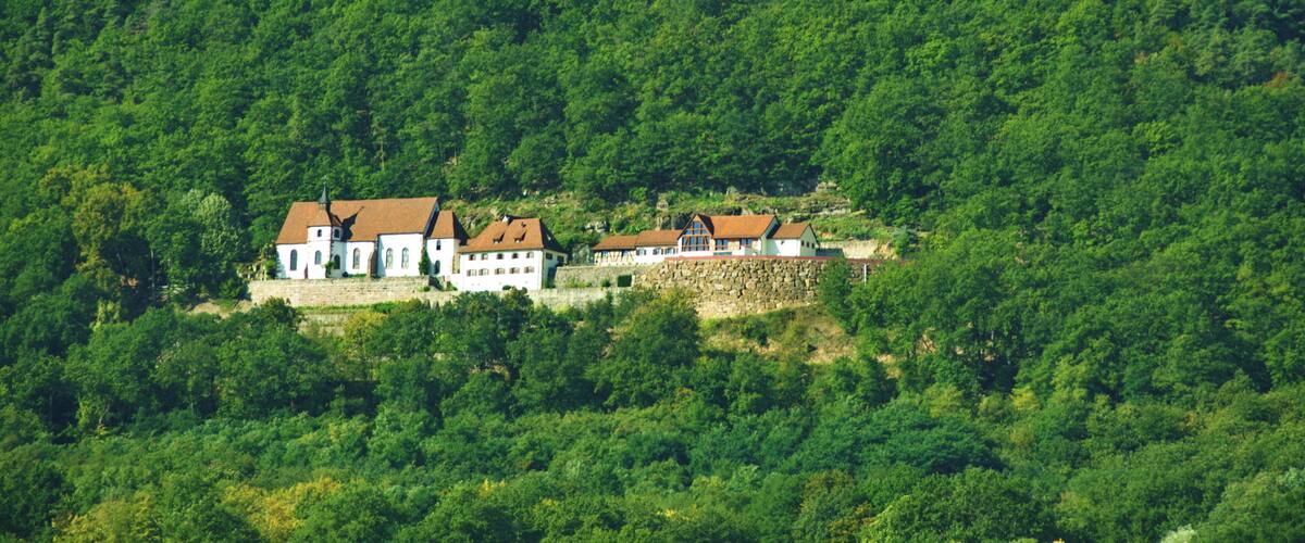 A hillside with a row of white houses with brown roofs.