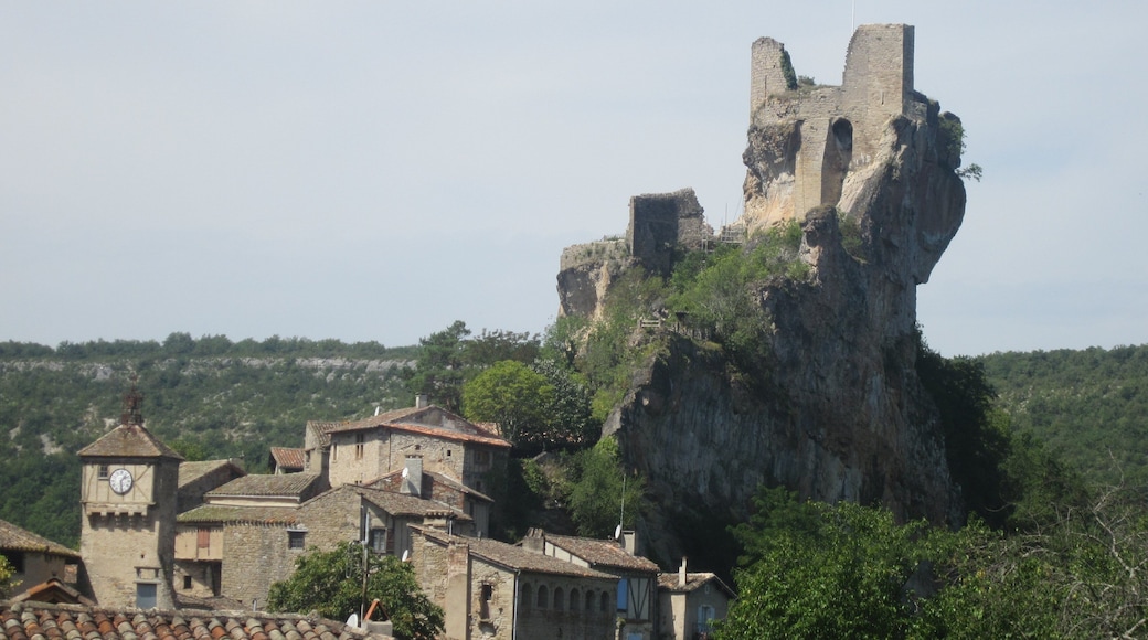 This building is classé au titre des Monuments Historiques. It is indexed in the Base Mérimée, a database of architectural heritage maintained by the French Ministry of Culture, under the reference PA00095615 .