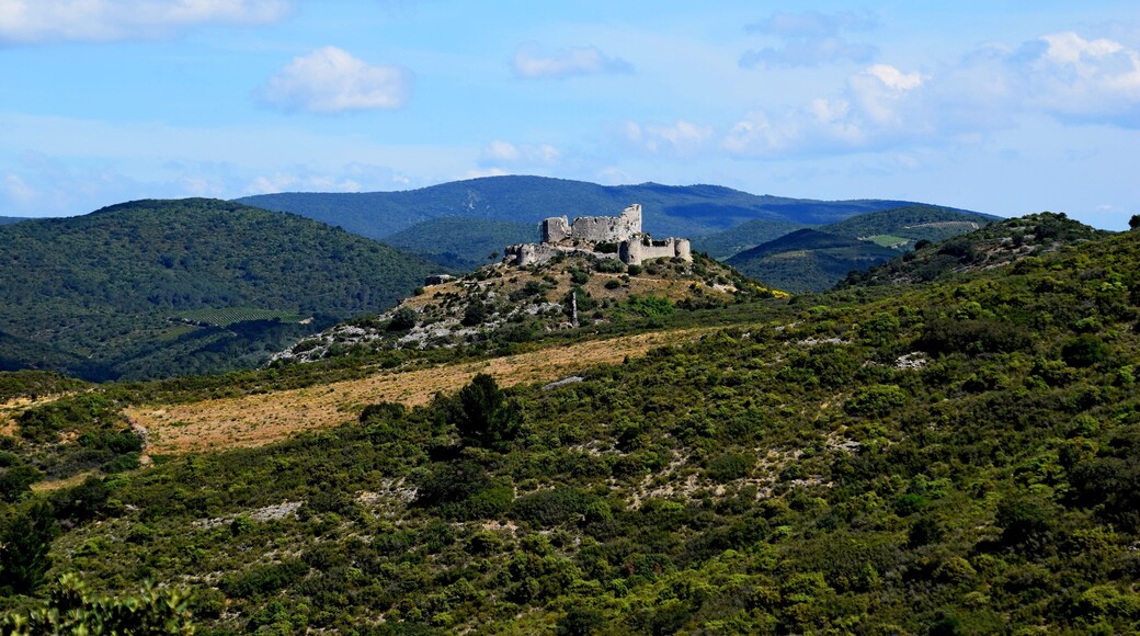 This building is indexed in the Base Mérimée, a database of architectural heritage maintained by the French Ministry of Culture, under the reference PA00102913 .