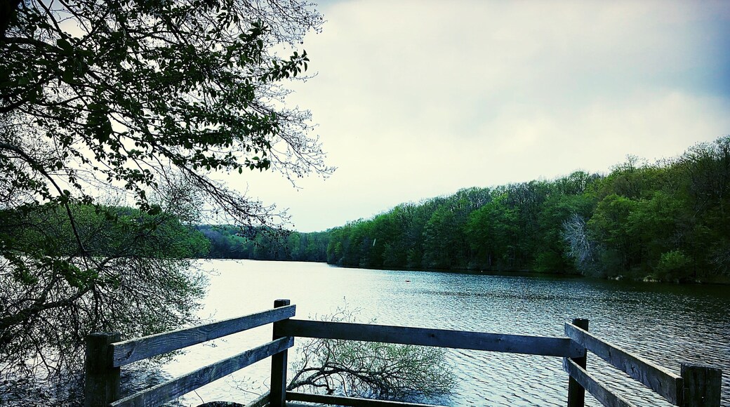 Tour du lac de 7 km voir plus avec les chemins annexes :)