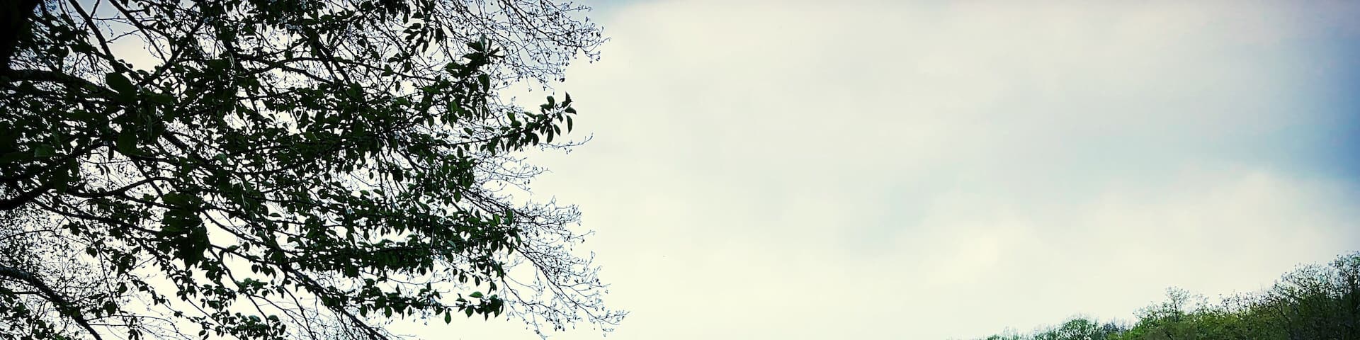 Tour du lac de 7 km voir plus avec les chemins annexes :)
