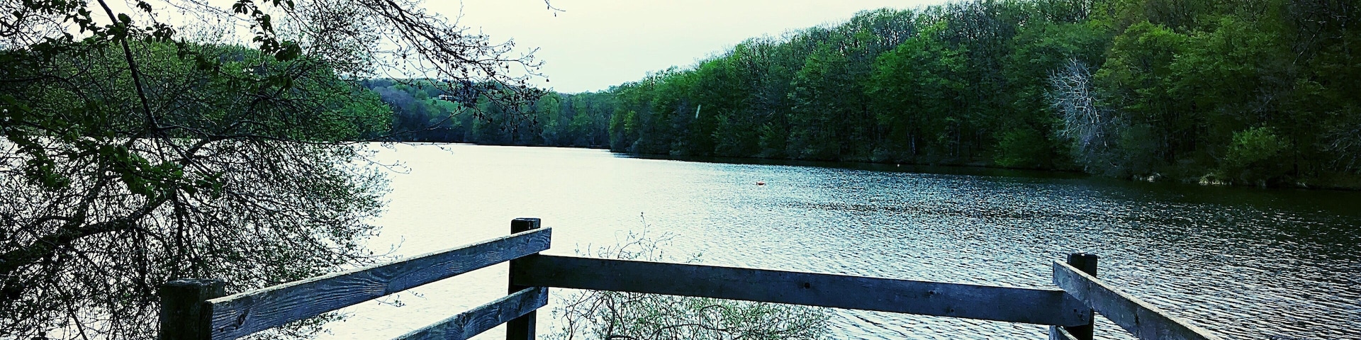Tour du lac de 7 km voir plus avec les chemins annexes :)
