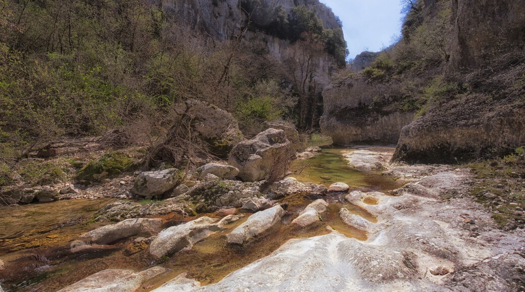 Een rivier die door een kloof stroomt, met rotsachtig terrein en schaarse begroeiing.