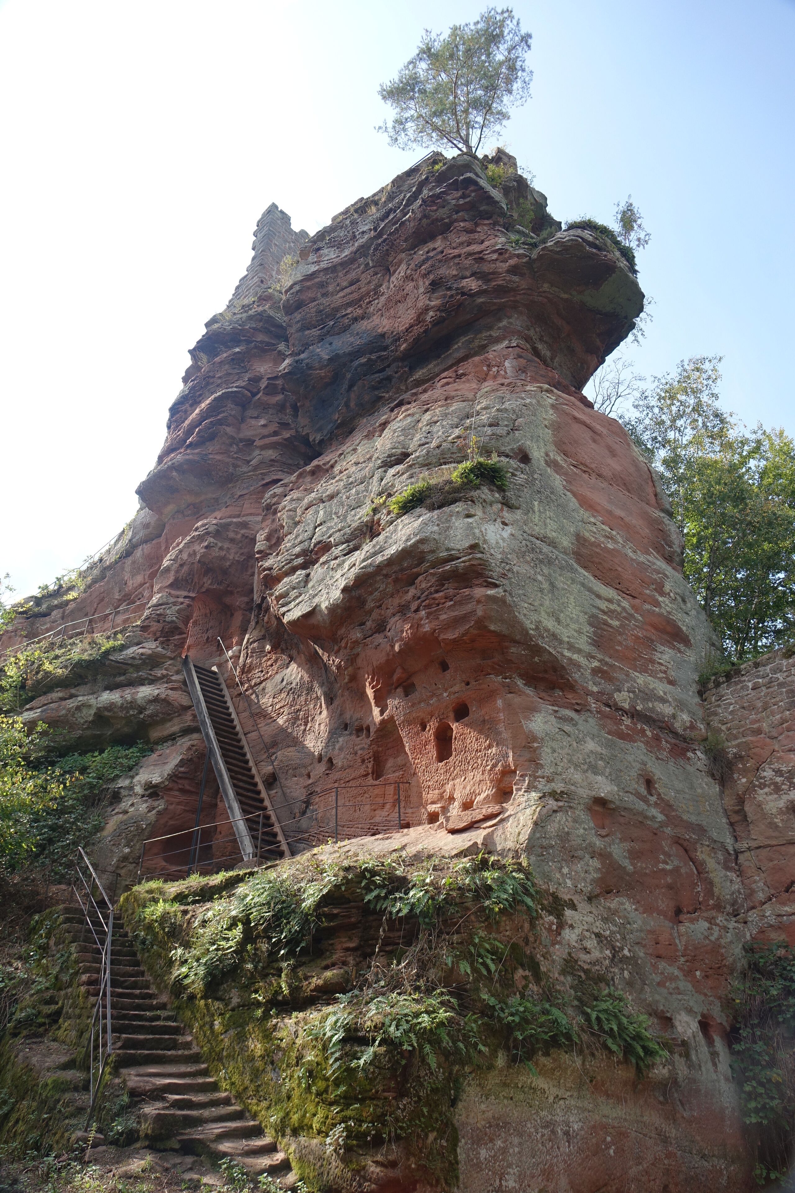 Ruin of medieval fortress Lützelhardt, chateau de Lutzelhardt near the French German border, Obersteinbach, Alsace, Grand Est, France
