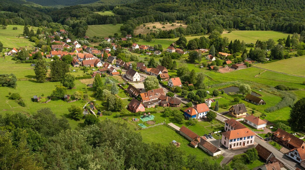 Obersteinbach in the Palatinate Forest, Vosges du Nord a nature reserve. France, Grand Est.