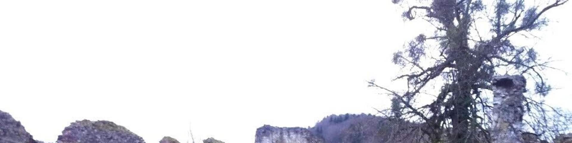 Château du Morimont (XIIe s.)