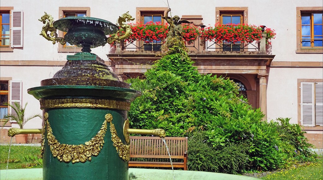L'entrée de l'ancienne maison d'habitation Le site de la Maison-Mère de la congrégation des soeurs du Très Saint Sauveur est occupé dès le Moyen-Âge. Plusieurs demeures d'habitation seigneuriales et des bâtiments annexes y sont construits et détruits au cours des siècles. En 1824, la propriété appartient au comte et à la comtesse de Strahlenheim-Lewenhaupt qui l'embellissent (l'entrée du bâtiment central en est un exemple visible). A leur mort le bien est mis en vente et la congrégation l'achète en 1857 pour en faire un Noviciat : l'école du Christ Sauveur créée par Élisabeth Eppinger, Mère Alphone-Marie (1814-1867), la fondatrice de la Congrégation. Aujourd'hui, les bâtiments abritent toujours la congrégation des soeurs du Très Saint Sauveur mais aussi la communauté des soeurs Rédemptoristes et une EHPAD pour des soeurs âgées et des laïcs. C'est également un centre d'accueil et de séjour, ouvert à tous, dans lequel on peut résider à titre individuel mais où peuvent aussi se dérouler des rencontres professionnelles ou des stages. Des locaux, salles de travail et équipements y sont disponibles. soeurs-stsauveur.cef.fr/