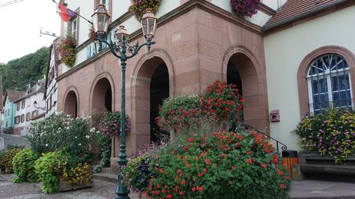 Ein historisches Gebäude mit Rundbogenfenstern und einer gepflasterten Straße.