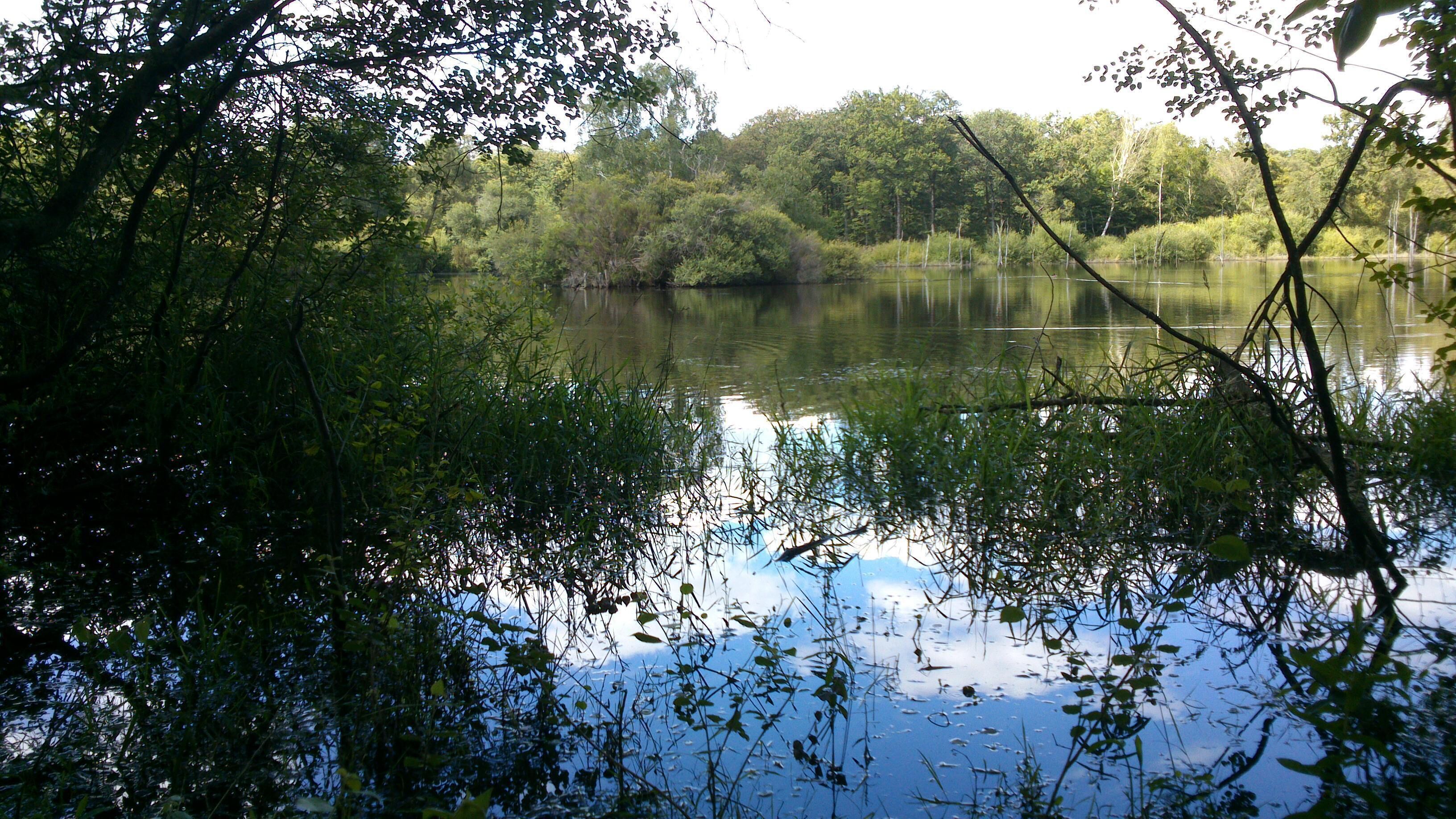 49340 Nuaillé, France
