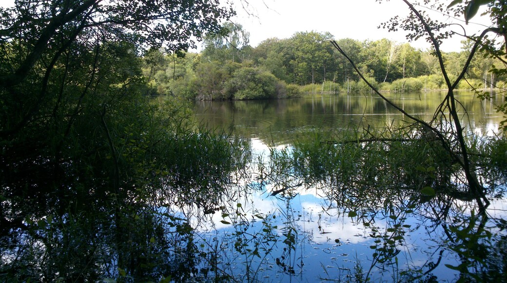 49340 Nuaillé, France