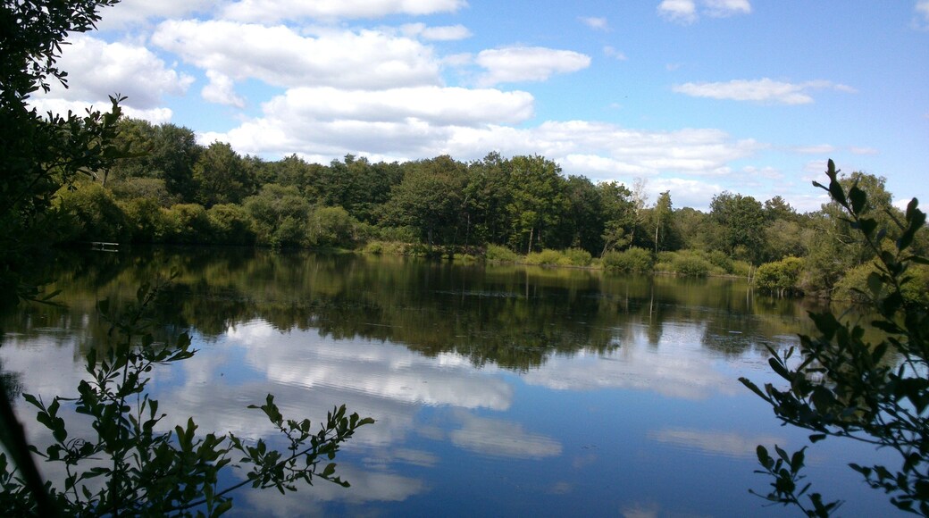 49340 Nuaillé, France
