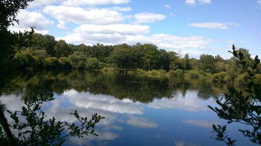 49340 Nuaillé, France
