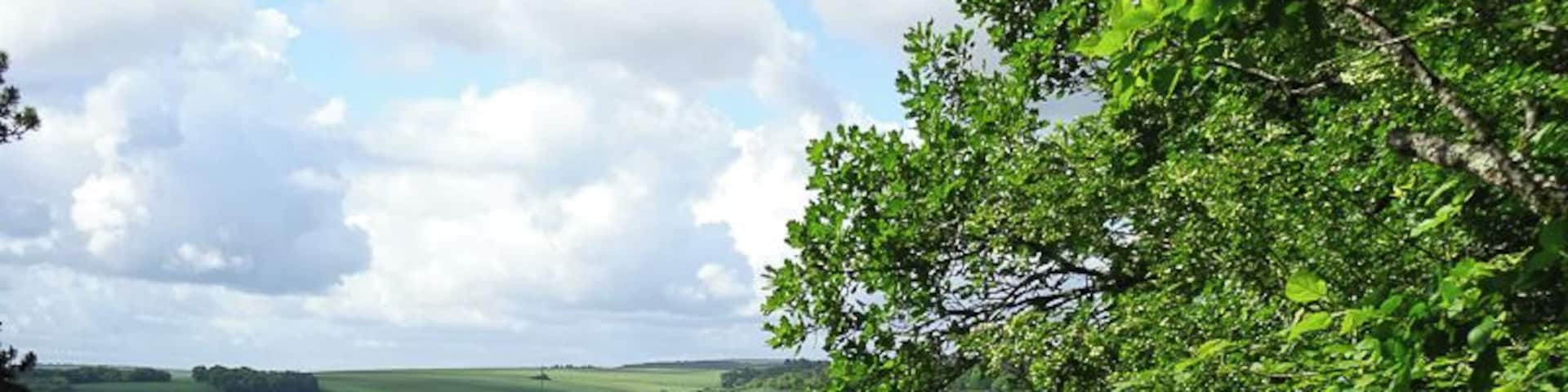 Noyers-sur-Serein is village in Burgundy, France. It lies on the banks of the River Serein and is also listed as a ‘most beautiful village of France’, because it is. In Noyers-sur-Serein there is a lovely 15th-century medieval centre with a small market on a Wednesday. The village had 19 of the original 23 fortified gates.