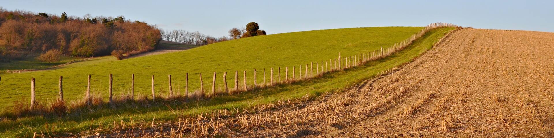 Country path near Nonac, Charente, France (evening).