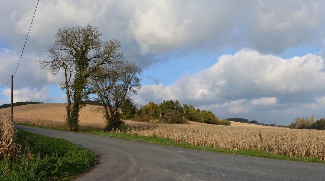 Country crossroad and corn fields on road D 141, Nonac, Charente, France.