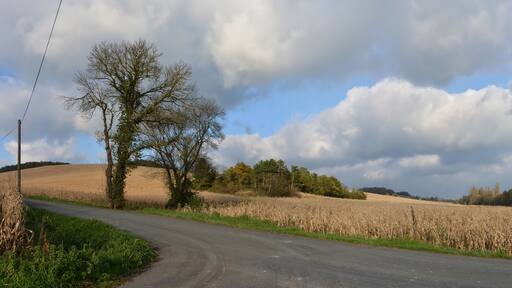 Country crossroad and corn fields on road D 141, Nonac, Charente, France.