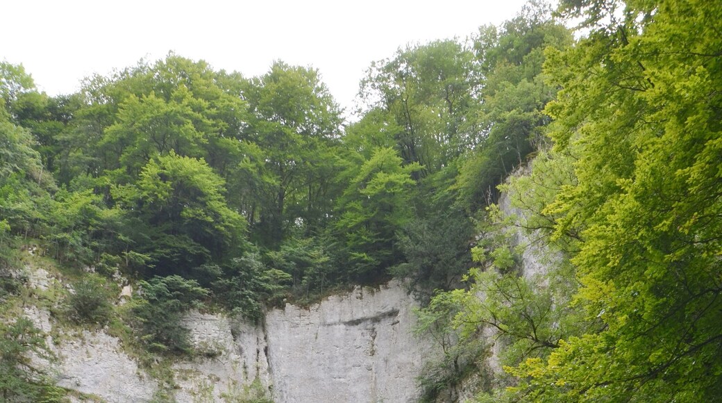The well (source) of the Lison river as a touristic attraction