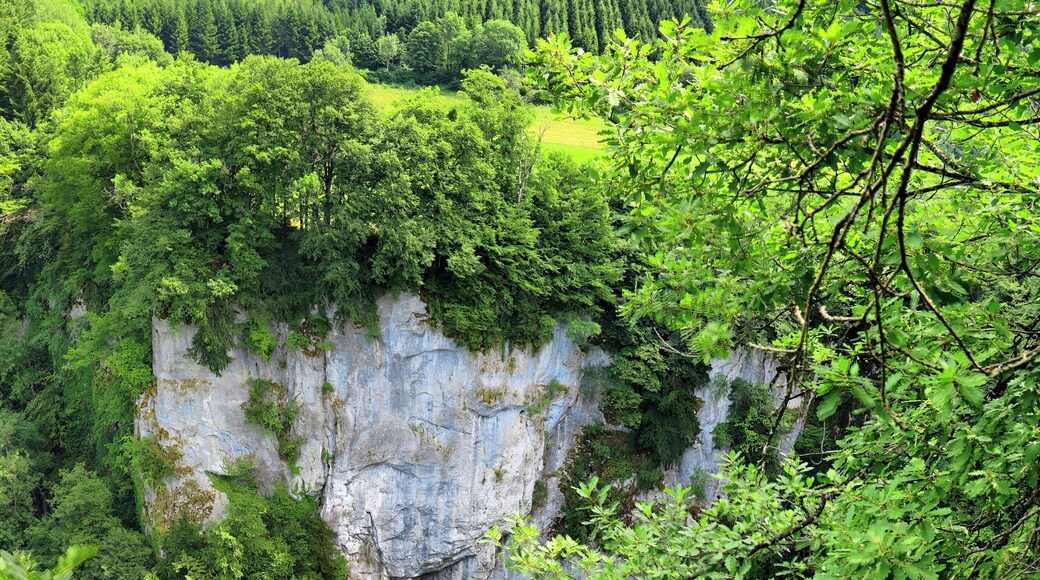 Le creux Billard vu de dessus