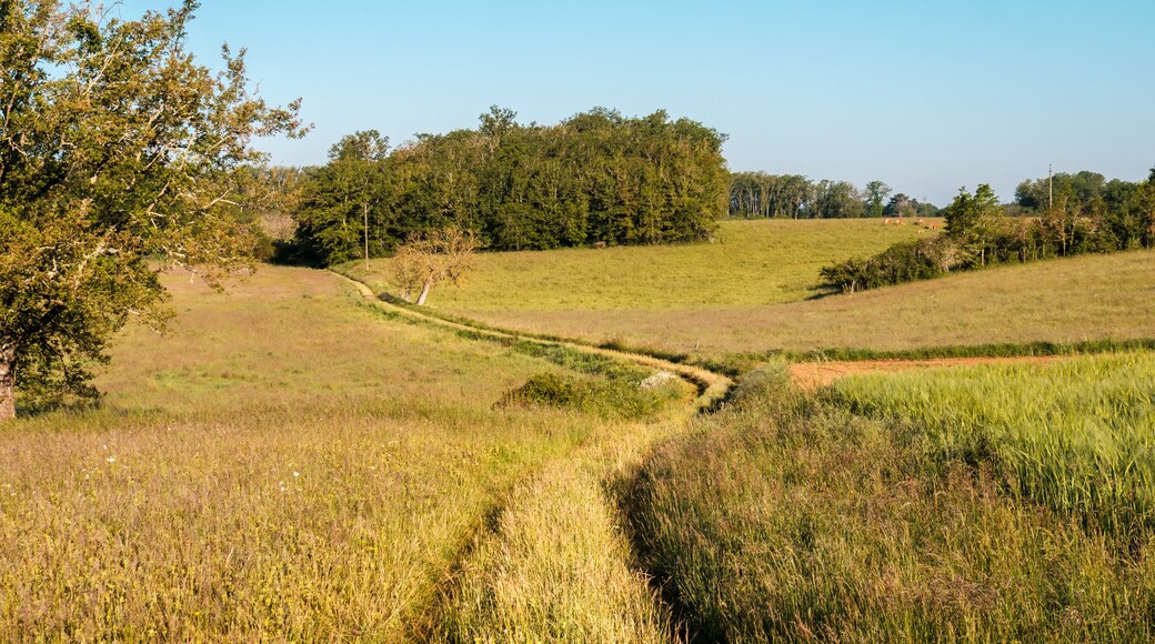Winding farm track through pastures, meadows and fields at Nabirat in the Dordogne region of France