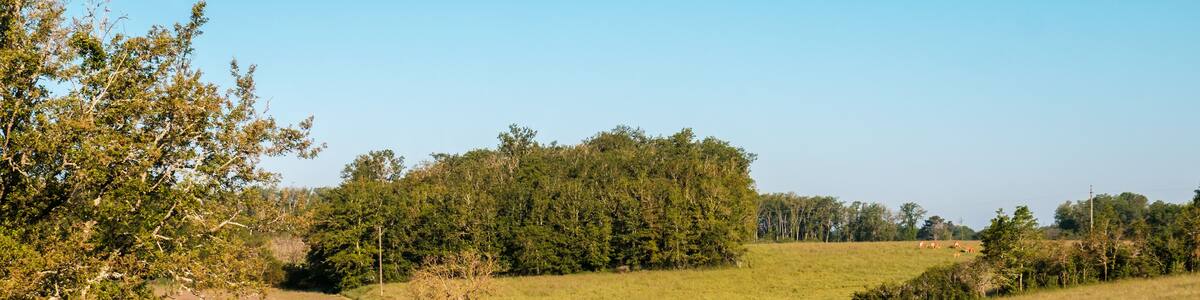 Winding farm track through pastures, meadows and fields at Nabirat in the Dordogne region of France