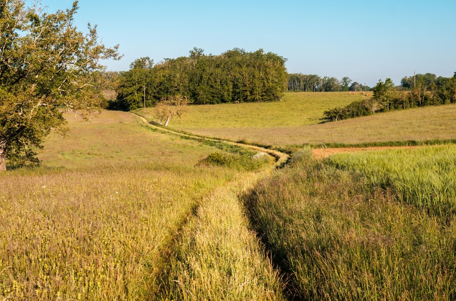 Winding farm track through pastures, meadows and fields at Nabirat in the Dordogne region of France