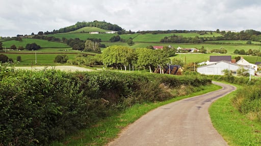 La butte de Montenoison depuis Marciges et les hameaux de Bourgareau et du Petit-Bourg