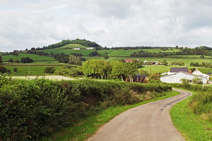 Une route de campagne sinueuse qui traverse des champs verdoyants, avec des collines douces et quelques bâtiments dispersés en arrière-plan.