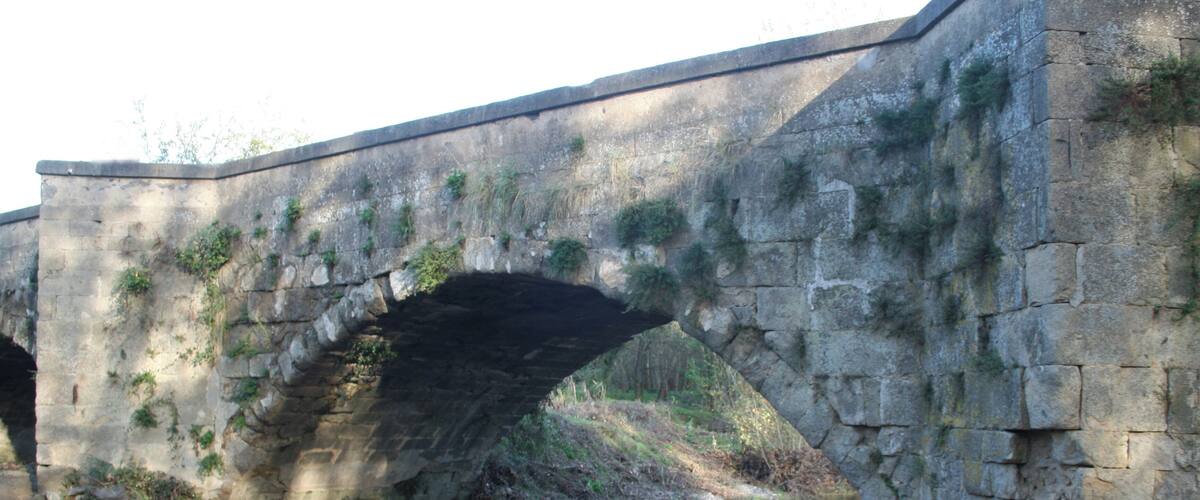 A stone bridge over a river with pebbles and vegetation on the sides.