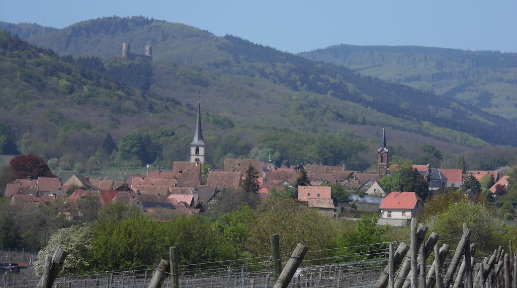 Mittelbergerheim