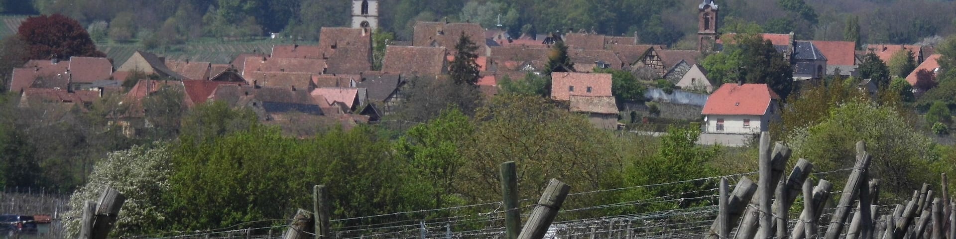 Mittelbergerheim