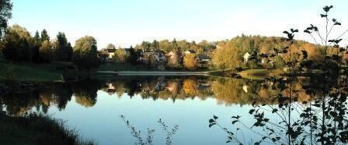 A calm lake with reflections of trees and houses, surrounded by grassy areas and a clear sky.