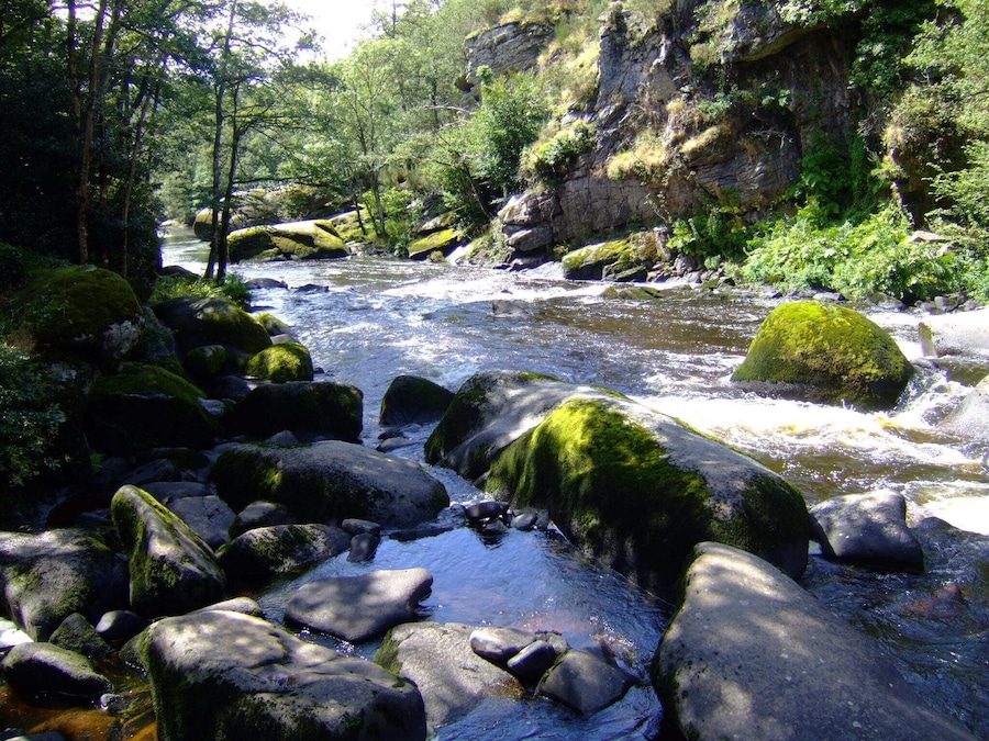 A river flowing through a forest with large moss-covered rocks and dense greenery.
