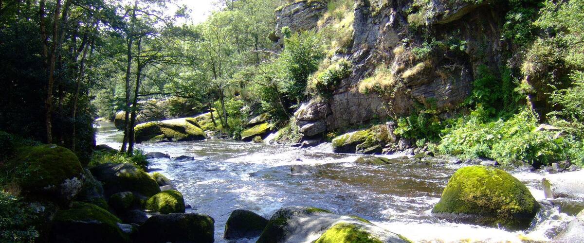 A river flowing through a forest with large moss-covered rocks and dense greenery.