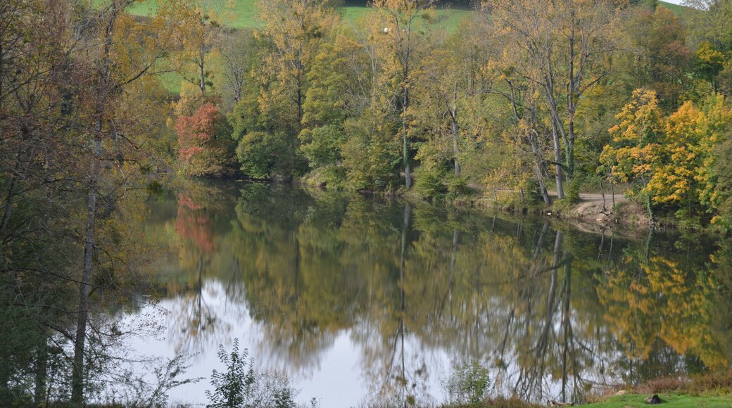 38620 Merlas, France