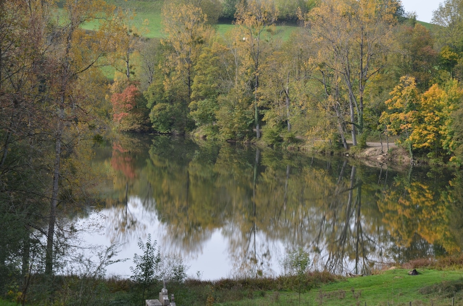 A calm lake surrounded by autumn-colored trees and a grassy area.