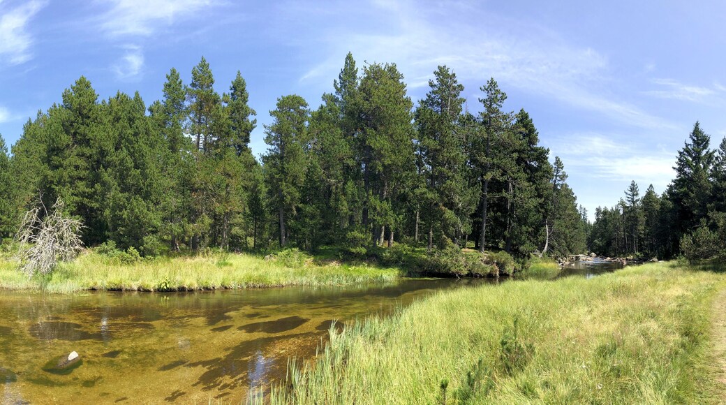 survol d'un lac de montagne matemale et des forets dans les Pyrénées-Orientales, sud de la France, parc naturel des Bouillouses