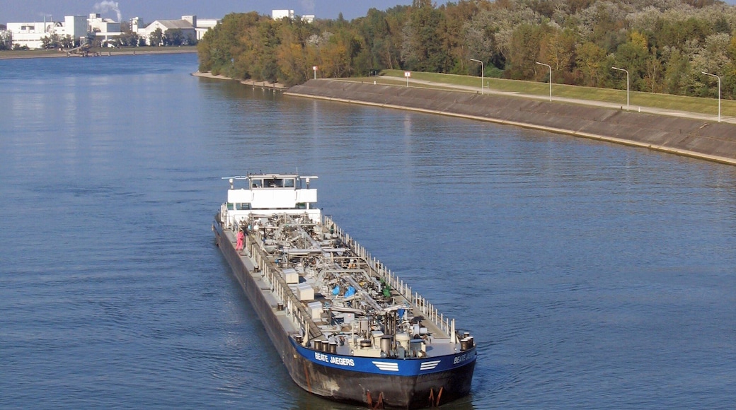 Blick von der Schleuse Marckolsheim Richtung Norden
