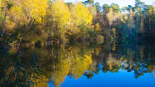 Spiegelung der bunten Bäume