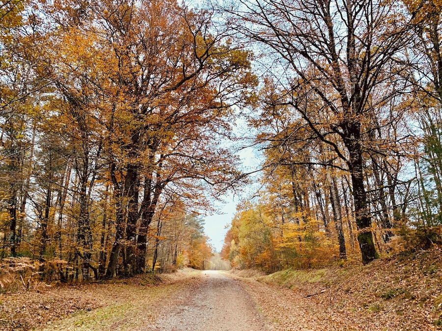 Beauté d’automne